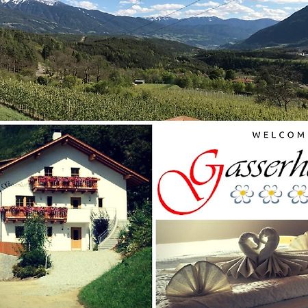 Gasserhof Aicha Natz-Schabs エクステリア 写真