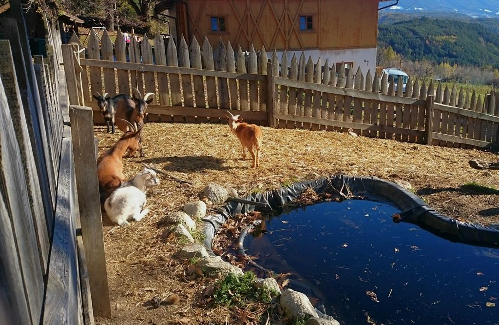 Gasserhof Aicha Natz-Schabs エクステリア 写真