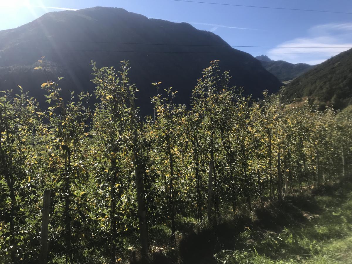 Gasserhof Aicha Natz-Schabs エクステリア 写真