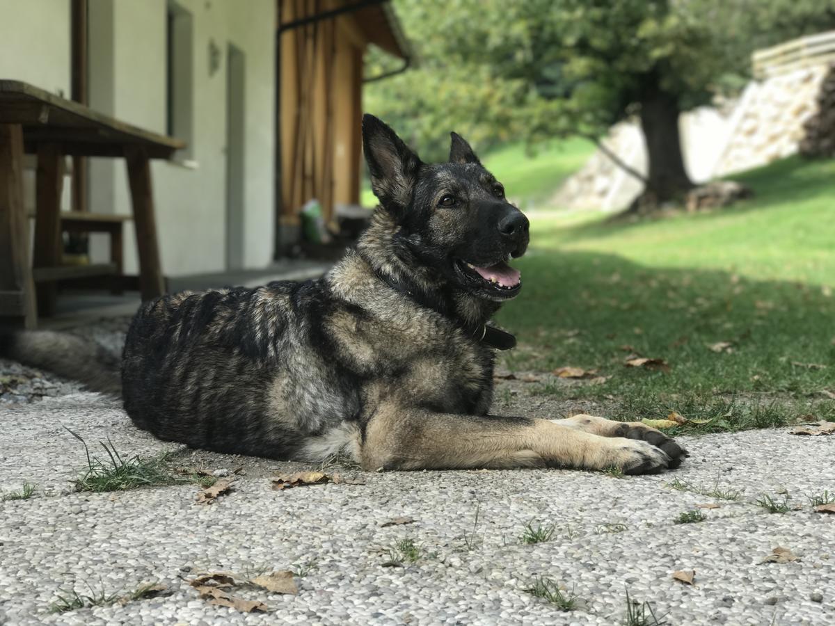 Gasserhof Aicha Natz-Schabs エクステリア 写真