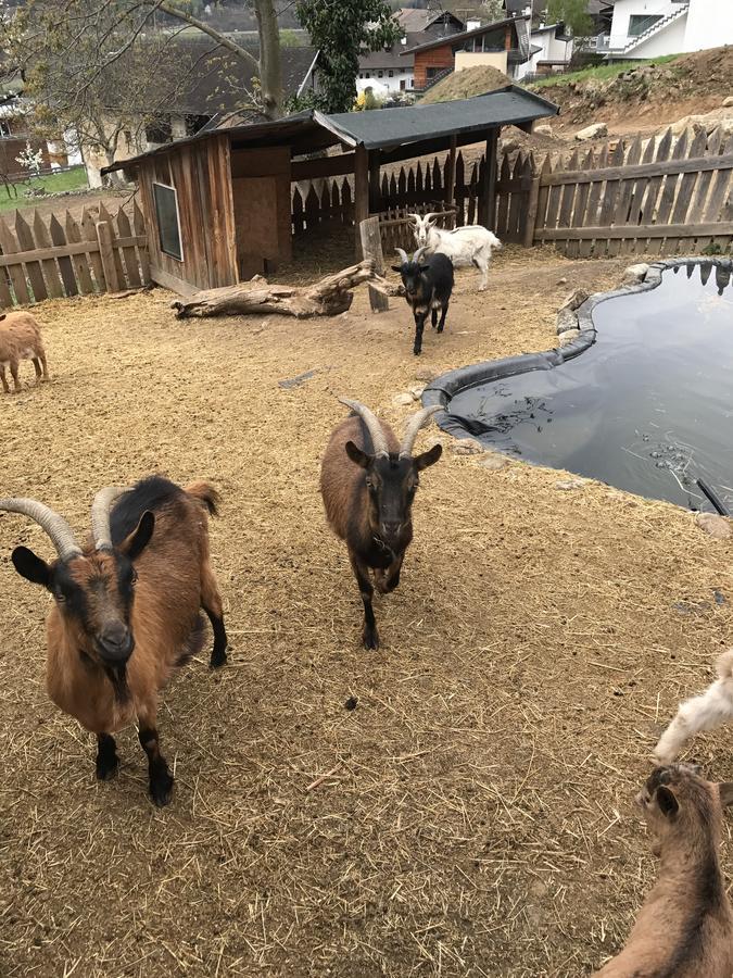 Gasserhof Aicha Natz-Schabs エクステリア 写真