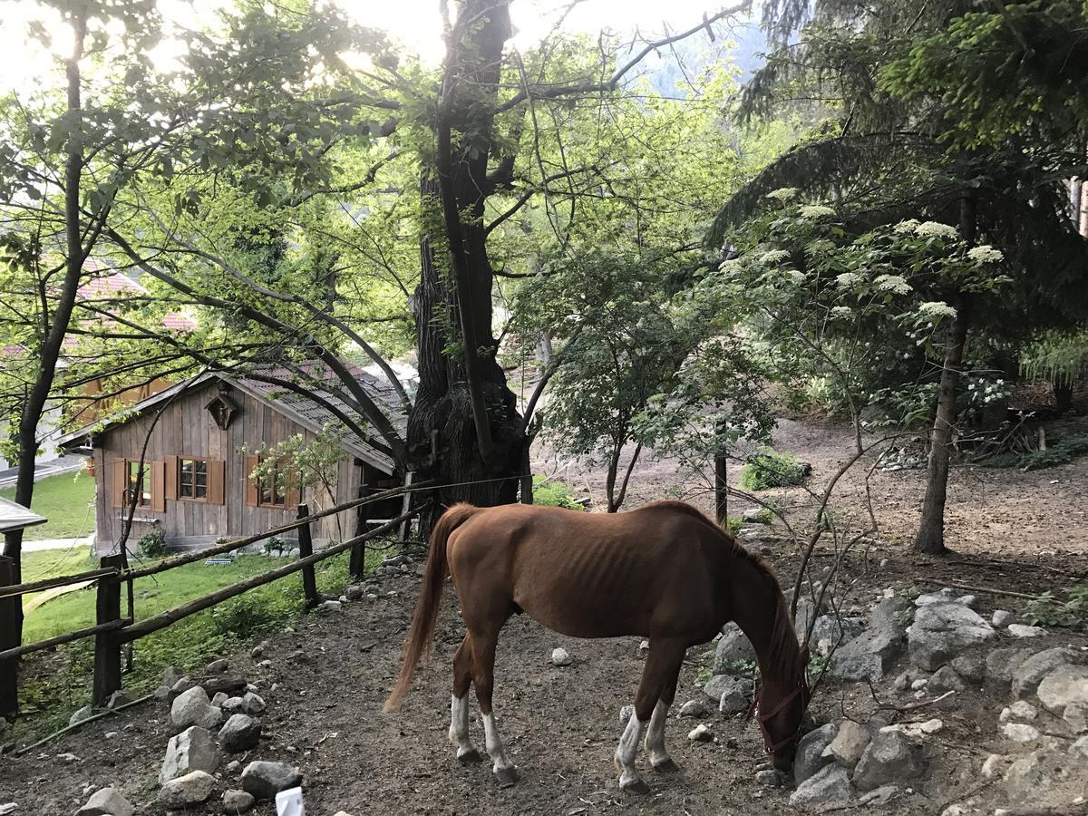 Gasserhof Aicha Natz-Schabs エクステリア 写真